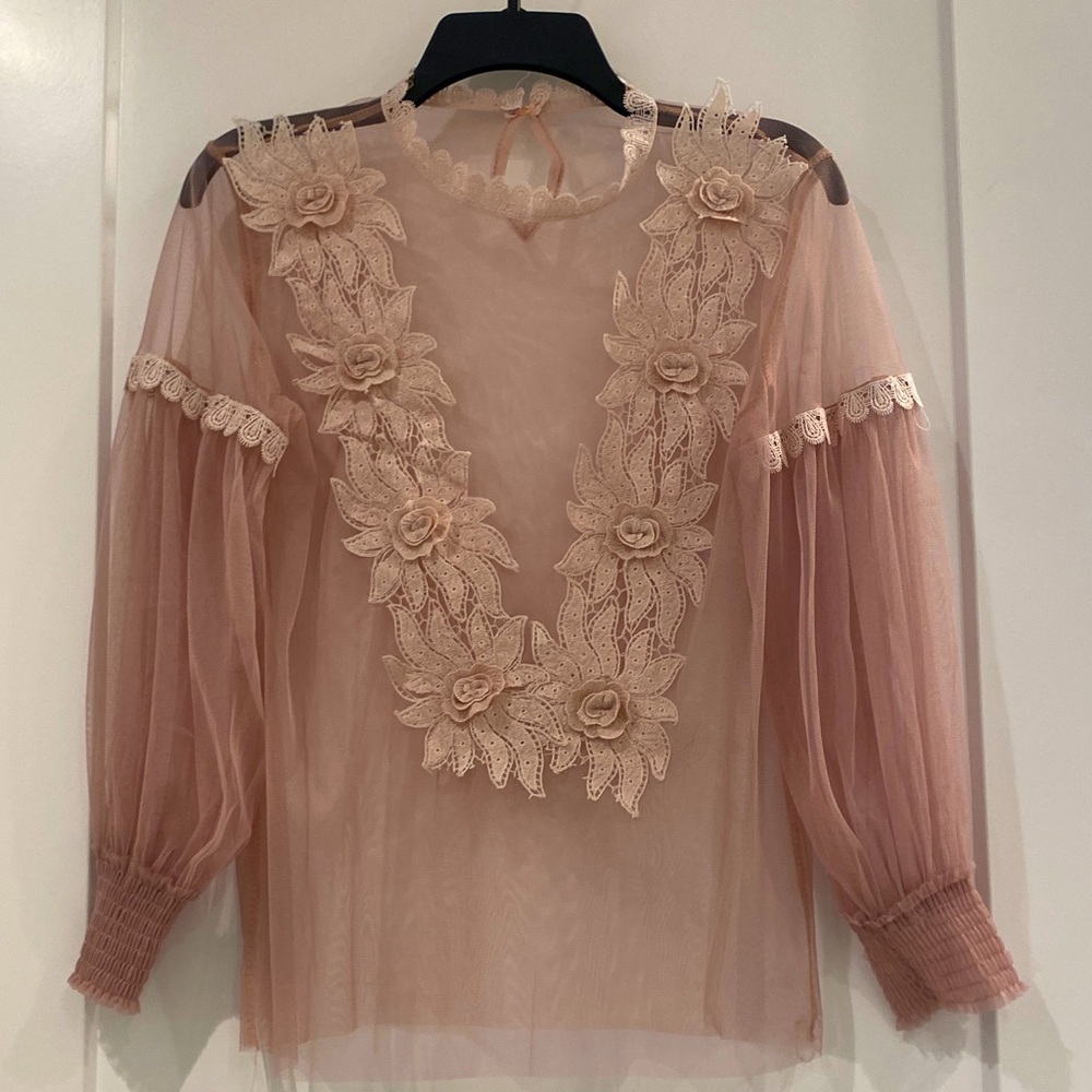Romantic Mesh Rose-Coloured Blouse with Appliqué Flowers NWOT